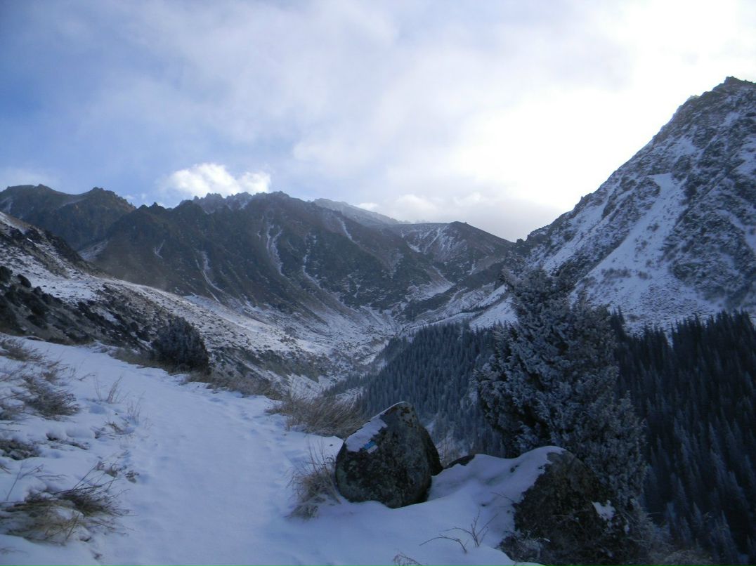 Паша Цветов | 