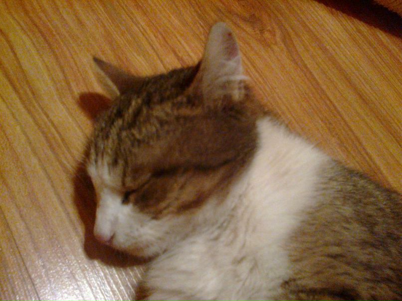 Марина Самборская | Wien