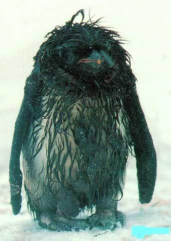 №21, Mr Hrivo, Los Angeles №21, Mr Hrivo, Los Angeles