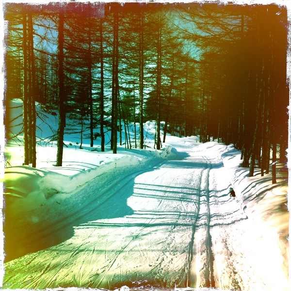 Елена Смоголь | Магадан