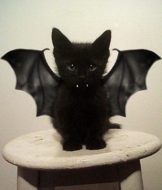 Сергей Пустобаев | Саратов