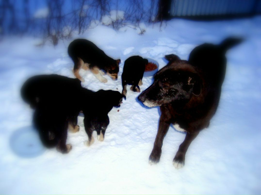 Сергей Константинович | Вавилон