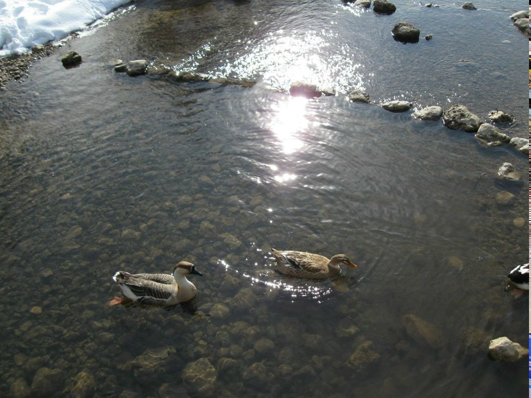 Анастасия Ажицкая Ezhikada | Воронеж