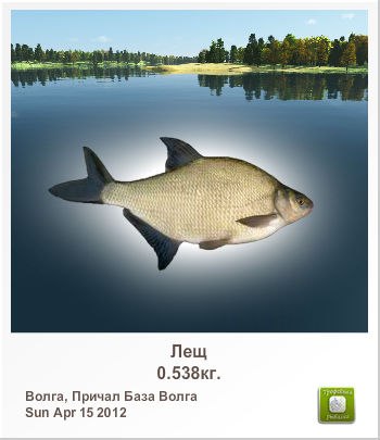 Валера Петрушенко | Киев