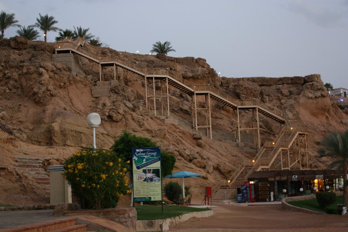 Olga Ivus OLGA | Санкт-Петербург