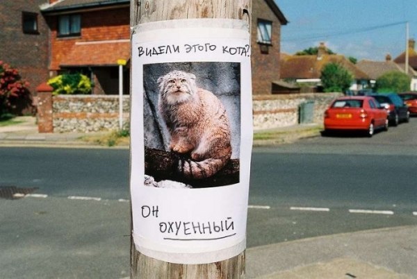 Савр Шахныков | Элиста