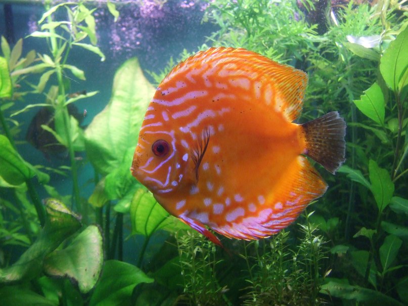 Ольга Удальцова | Санкт-Петербург