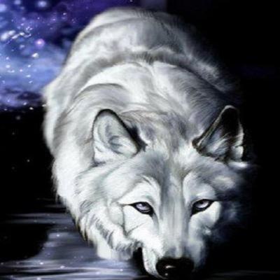 Krosh Sattarov | Тольятти