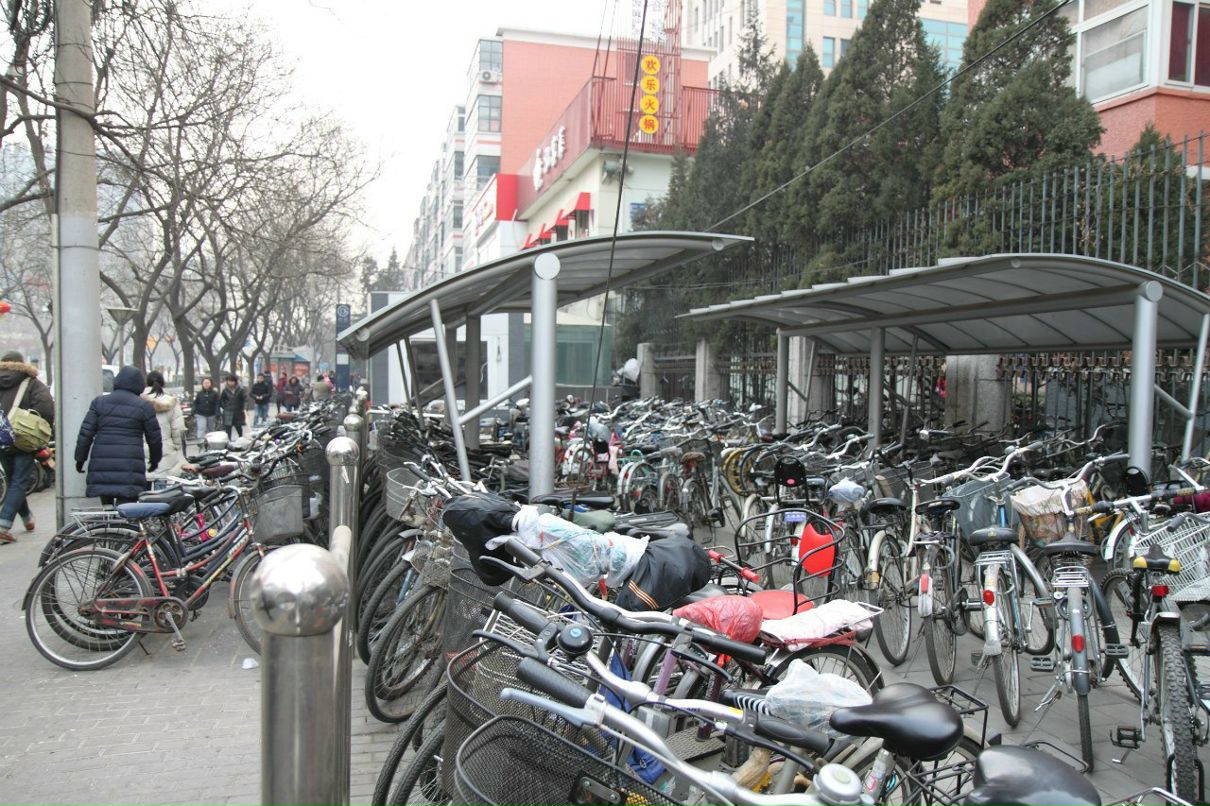 Елена Рогова | Москва