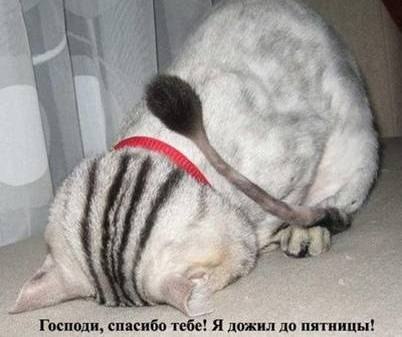 Руслан Ненахов | Мончегорск