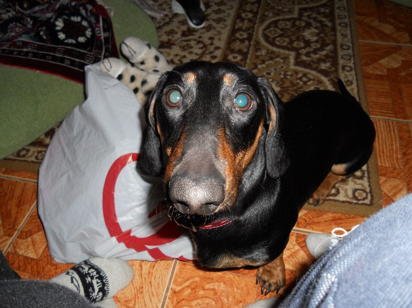 Софья Романовская | Санкт-Петербург