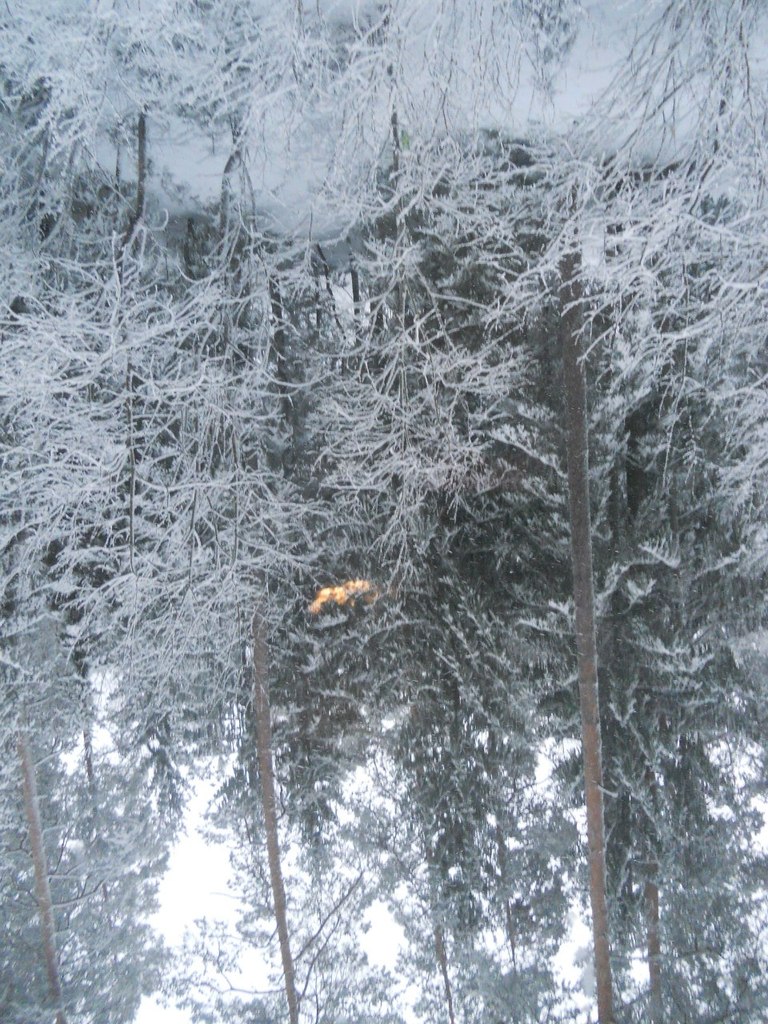 Софья Романовская | Санкт-Петербург