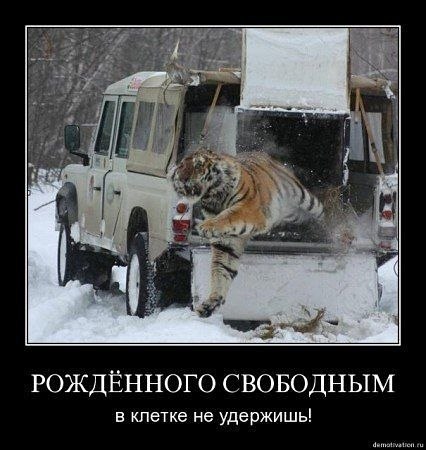 №10, Apollon Mamporia №10, Apollon Mamporia