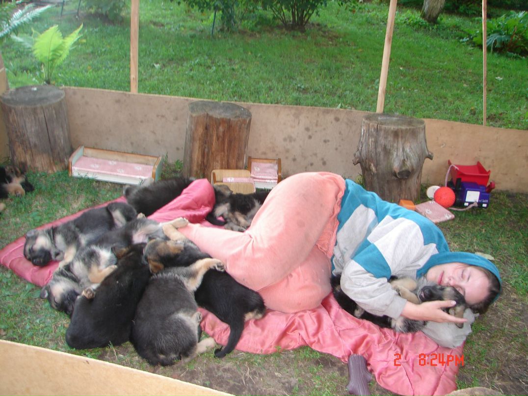 Елена Огонькова | Ярославль