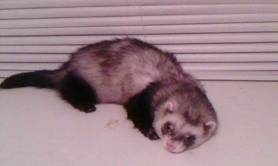 №104, Екатерина Сизикова, 43 года, Новосибирск №104, Екатерина Сизикова, 43 года, Новосибирск