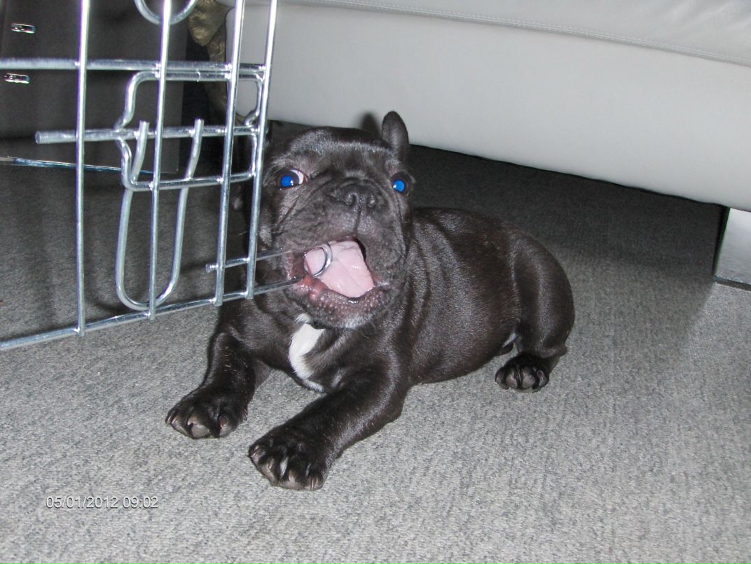 Мария Нигородова Воронова | Москва