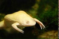 №10 Кристина Лялина 20.07.1992: профиль, фото, статус - ВКонтакте