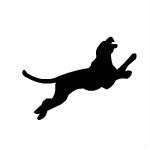 Серёжа Гараев | Москва