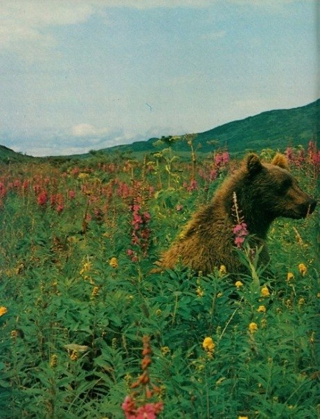 Кира Василькова | Санкт-Петербург