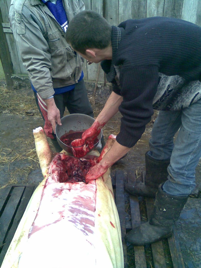 Вадим Лях | Чернигов