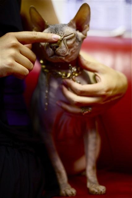 Дарья Самородова | Москва