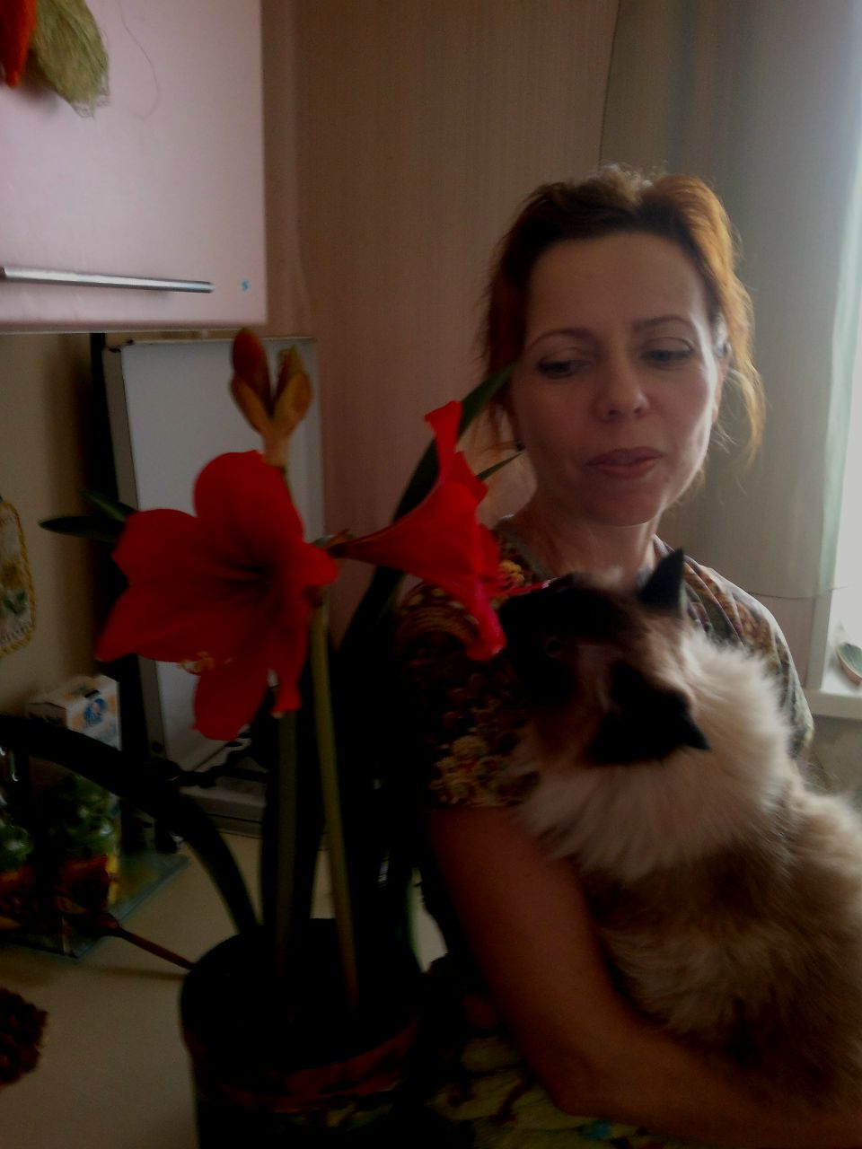 Юлия Елыкова Николаевна | 