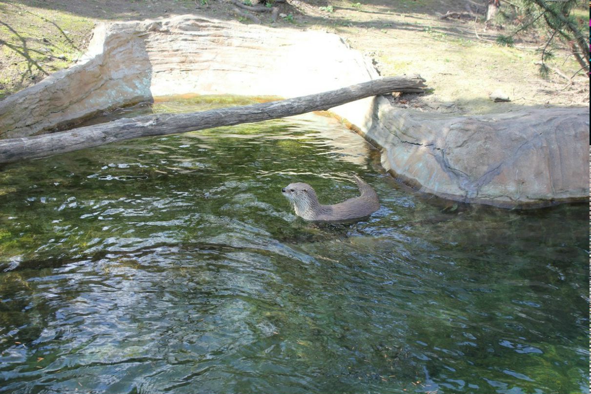 Кирилл Смирнов | Санкт-Петербург