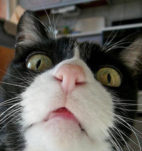 Ефим Вилкин | Кемерово