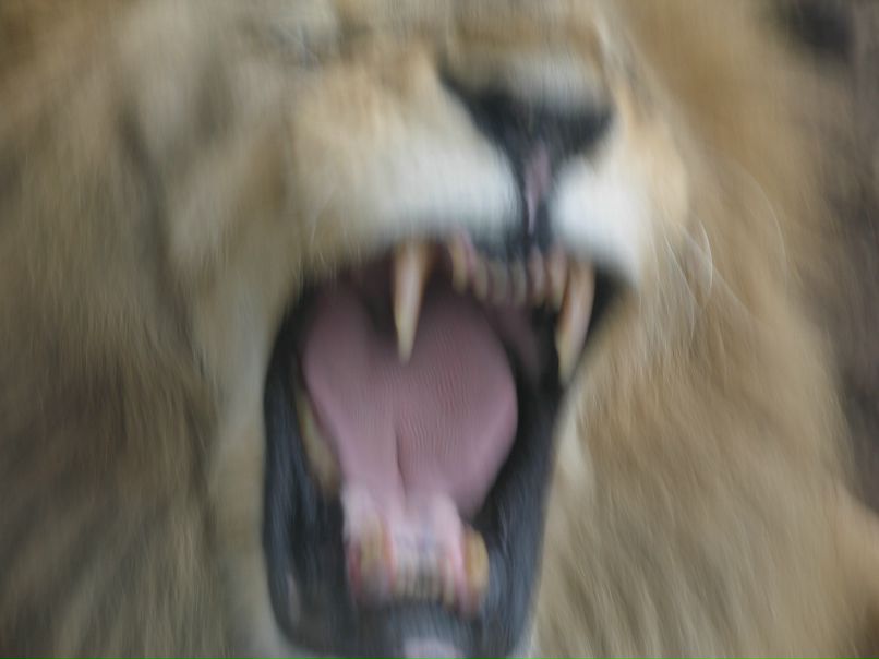 Вячеслав Викторович | Санкт-Петербург