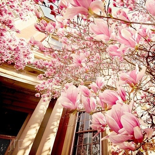 №43, Светлана Гридина, 6.12.1994 №43, Светлана Гридина, 6.12.1994