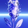Аватар: Каролина Вагина