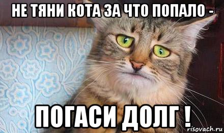 Мемы про слабый пк. Мем тянет. Комп тянет. Когда нет радости. Мемы плохой мальчик.