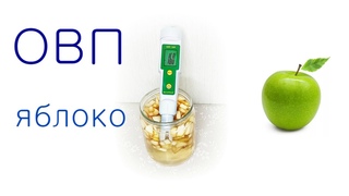 ОВП: настой яблока
