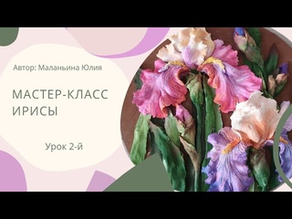 МК  Ирисы. Урок 2-й.