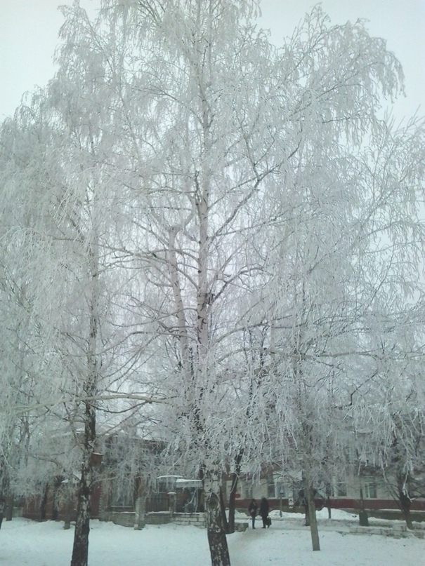 Александр Майборода | Геленджик