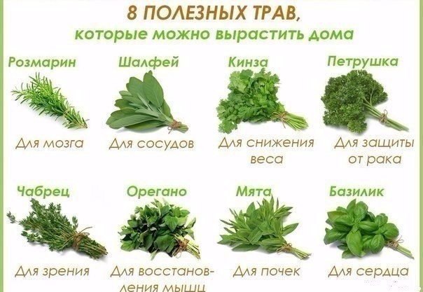 Елена Наговицына | Киров