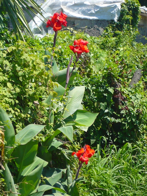 Ольга Шумилова | Вологда