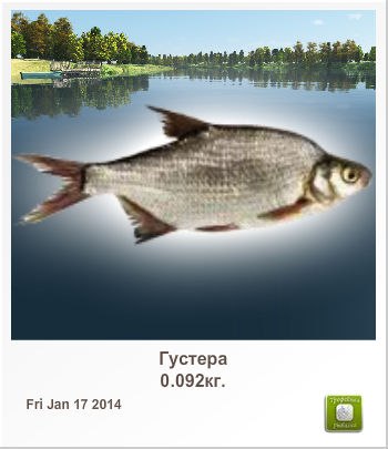 Полина Соболева | Ярославль