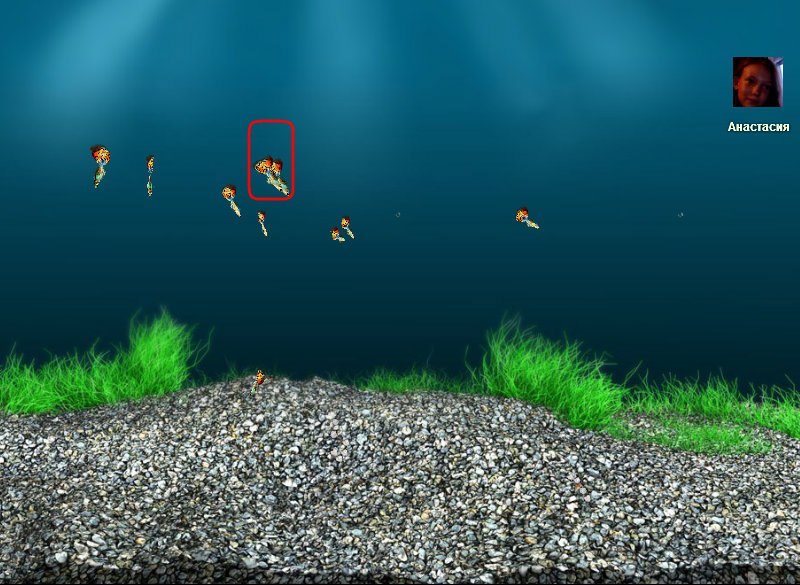 Павел Прохоров | Радужный