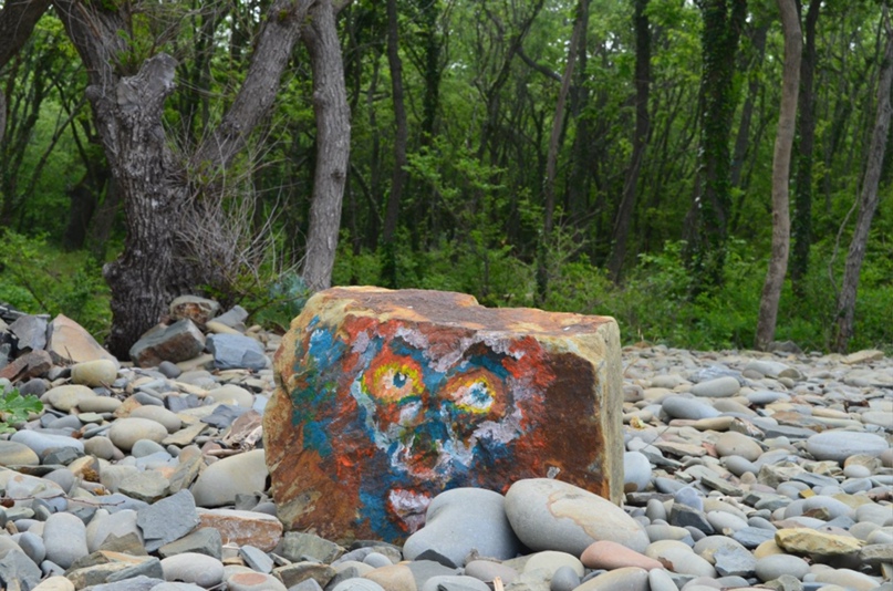 Роман Петренко PaM4uLLI | Новочеркасск