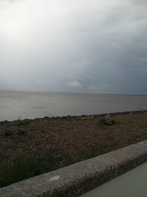 Надежда Паскарь Николаевна | Санкт-Петербург