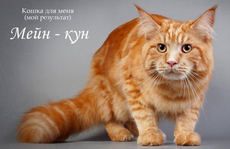 Александр Тулин | Томск