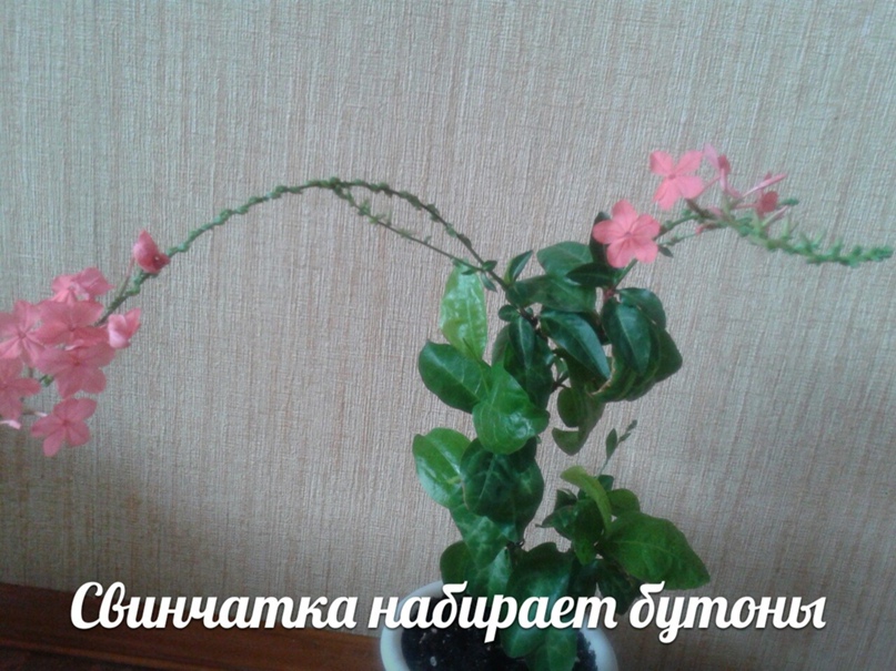 Марина Ситникова | Уфа