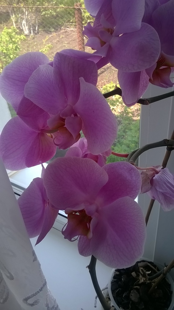 Олеся Бондаренко | Казань