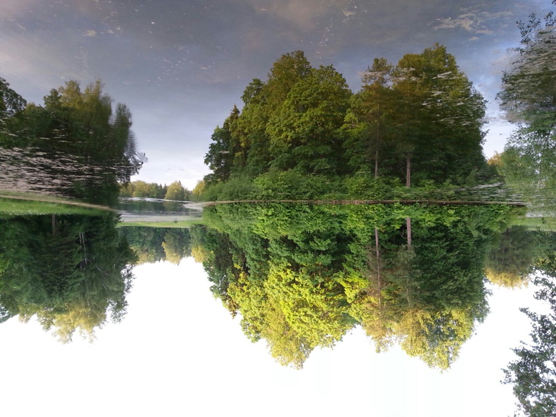 Ярослав Ковальский | Санкт-Петербург