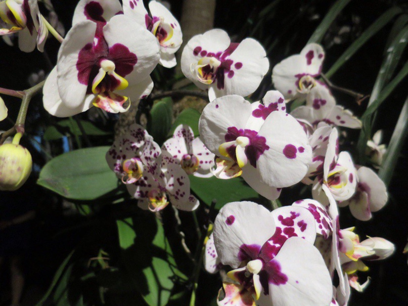 Екатерина Степанова | New York City