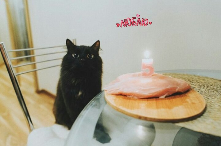 Анастасия Лисовская |