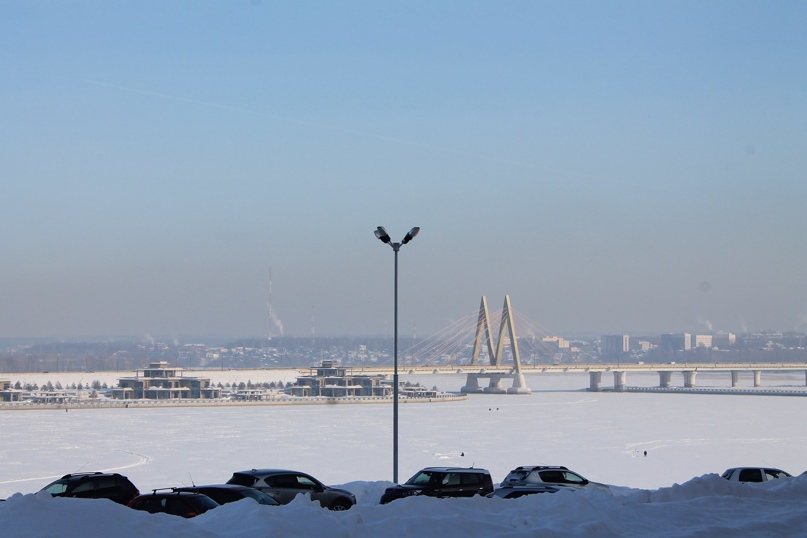 Ирина Фирсова | Воронеж