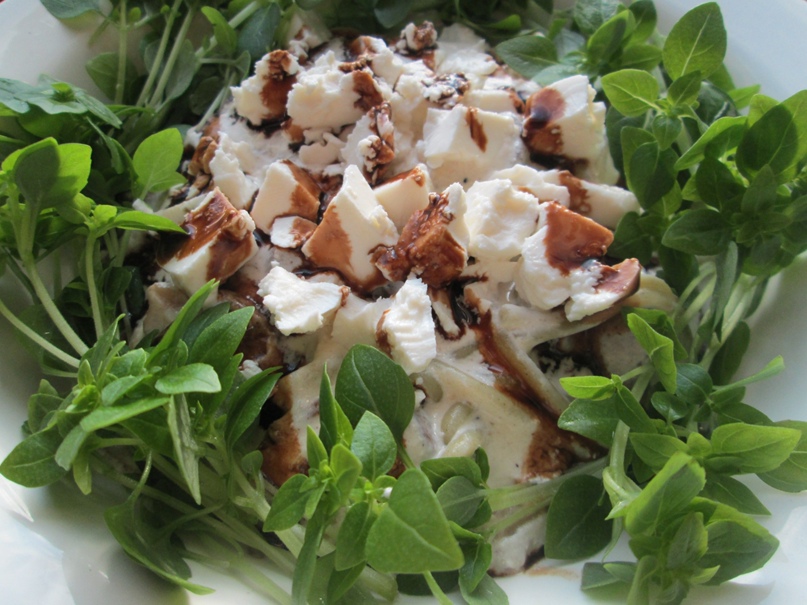 Анастасия Вишнякова | Москва