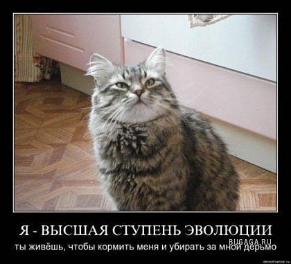 Юлия Барханова ♥Юленька♥ | Кингисепп